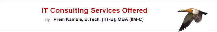 IT Consulting Services offered by Prem Kamble